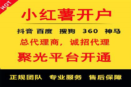 探索专业SEM托管的奥秘：从案例看效果